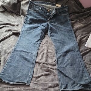 GAP Classic Blue Flare Jeans